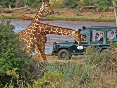 3 DAYS LUXURY SAMBURU SAFARI - Lugendor Adventures