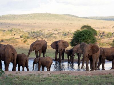 Taita Hills Safari Resort_Paradise Vacations_2